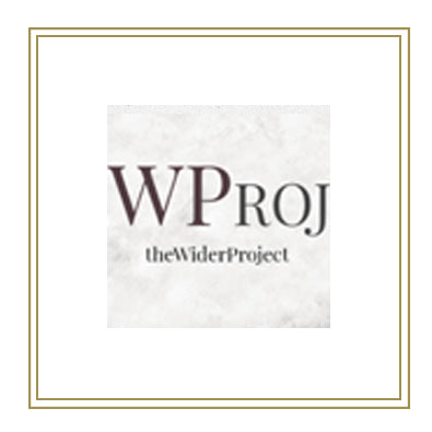 THE WIDER PROJECT